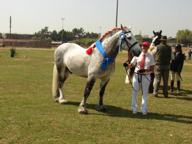 Pta skou 2009 044_1_th1.jpg
